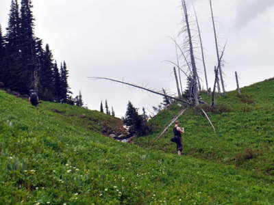 Passing a mountain stream