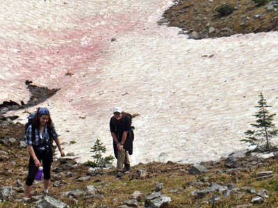 Catching breaths in front of strawberry snow