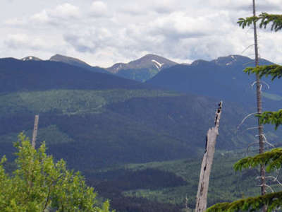 Looking back down the trail