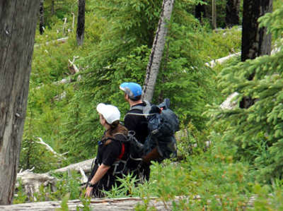 Bobby and Nico in the timber