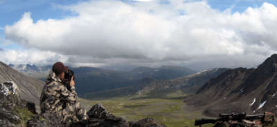Daniel spotting for dall sheep