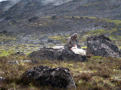 Scott caping his mountain goat