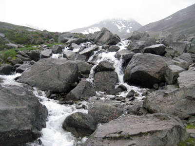 Mountain creek running down the hill