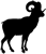 Mountain Sheep Silhouette