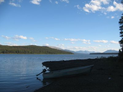 The boat is pulled up on shore