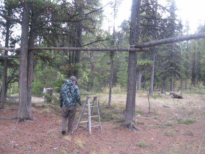 We found some old tent poles on a peninsula