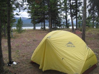 Tent in the trees