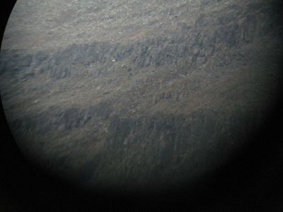 Mountain goats through a spotting scope