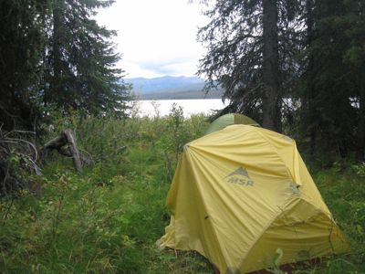 The tents setup in a shaded meadow