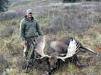 Scott Weir and his 53 inch BC moose bull.